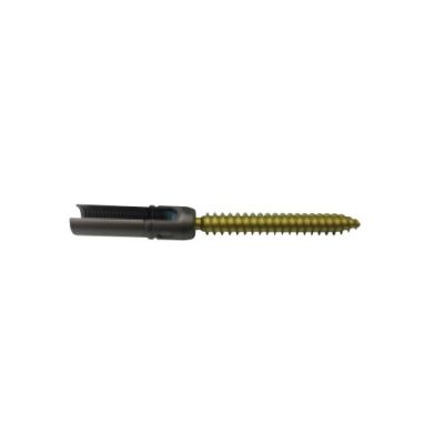 Vitality 5.5X40MM Pa TI Rdctn Scr Vital [Pack of 1]
