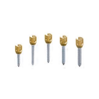 Polaris Pol5.5 TI 7.5X80 Ma Ilc Scr St [Pack of 1]