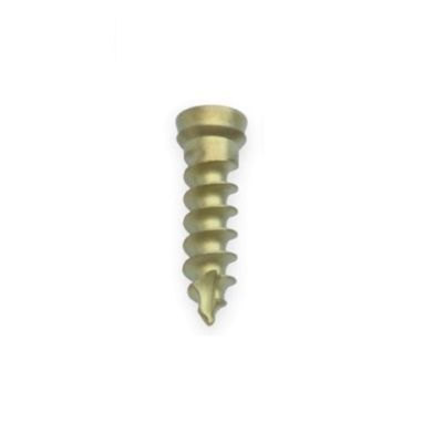 Maxan Maxan Scr 4.0X14MM Fix Scr [Pack of 1]