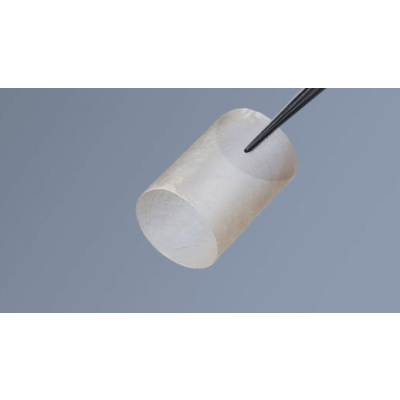 JOINT  Other Material Axoguard Nerve Protector 10MM X 20MM Porcine Submucosa Extracellular Matrix[Pack of 1]