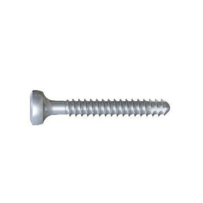 Hexalobe 1.5 MM X 10 MM Lag Screw [Pack of 1]