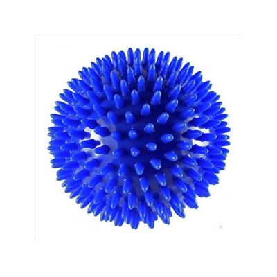 Massage Balls Blue 10cm [Pack of 1]