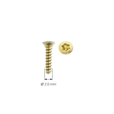 Aptus 2.0 Cortical Screw 21MM Hd6 [Pack of 1]