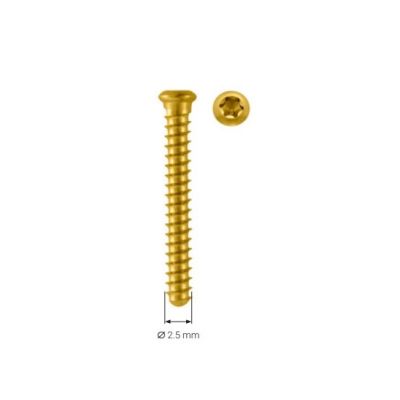 Aptus 2.5 Cortical Screw 28MM Hd7 [Pack of 1]