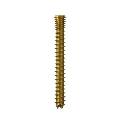Aptus 7.0 Ccs Screw 110MM Hd25, A-8412.110/1S [Pack of 1]
