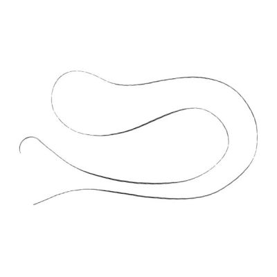 Arthrex Suturetape 1.3 MM Suture Black/White With Circle Needle [Pack of 12]