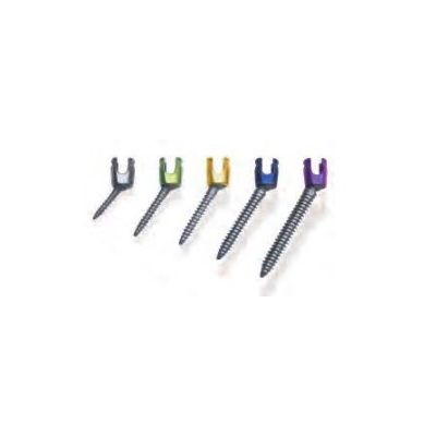 Ar5.5TI Ext Poly Scr 6.5X45 St [Pack of 1]