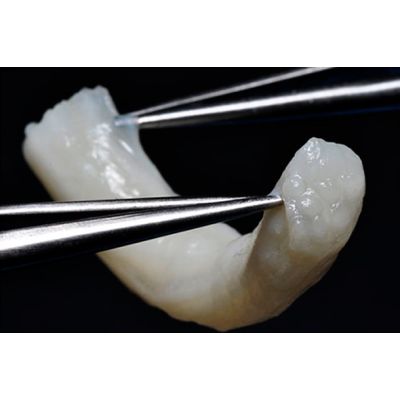 JOINT  Other Material Avance Nerve Graft 3-4MM X 70MM [Pack of 1]